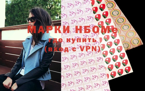 молекула духа Вяземский