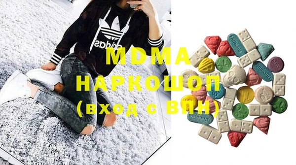 молекула духа Вяземский