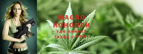 молекула духа Вяземский
