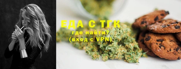 молекула духа Вяземский
