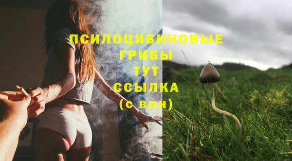 молекула духа Вяземский