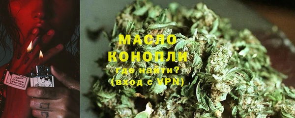 молекула духа Вяземский