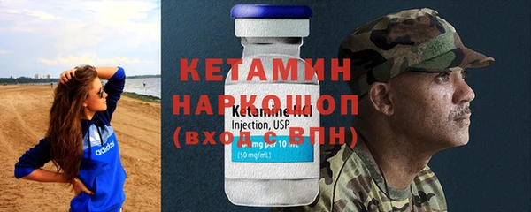 молекула духа Вяземский