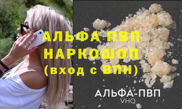 молекула духа Вяземский
